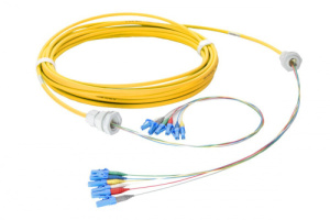 43T-S2-12-LC-LC-100-0E-T01-10_0