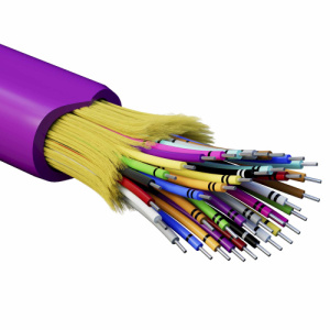 p30uv5w8nu5ik9buc7nup4p7wxh356lu