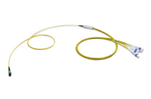 43H-S2-12-M1-LC-003-0E-M-50_0