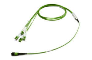 43H-50-08-M8-LC-001-0E-M-10_0