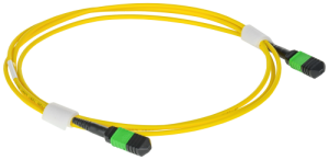 656dad8938f056987005368f