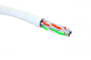 19C-U6-22WT-B305_0
