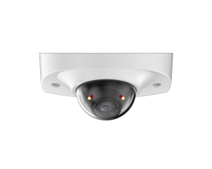 DH-IPC-HDBW2249FP-AS-IL-0280B_1