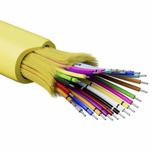 qlo4sa1gu1n1538mw5sv4s8xic535f4h