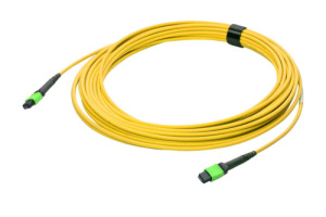 43M-S2-08-M8-M8-001-FFA-50_0