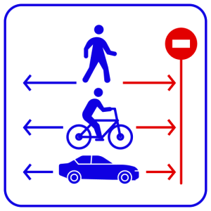 TRASSIR Direction Detector_0
