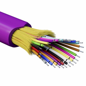 0j41ko7dor0e5wwg77urjhokd0rljafn