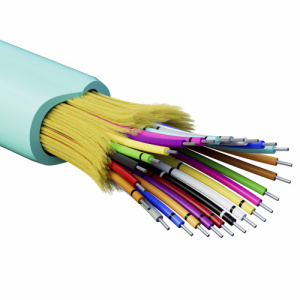 5exgjk1tieokhxwx81axo78lwfjc40am