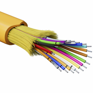 3k3u3s26it9g8q0w3xnfakf3ftb5jgm1