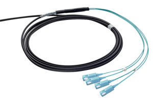 43T-30-06-SC-SC-003-01-T01-20_0