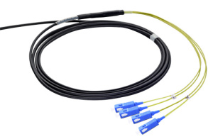 43T-S2-24-SC-SC-003-01-T01-20_0