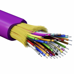 n5ieof67f4ybudu3h8r271nls6nm2lo1