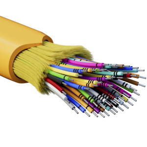 jvhof422fnz2atakecs5s0u3g1jnvyv8