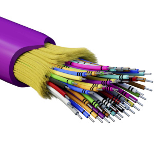 6n1yx9cw6wtmw1hyhkc87ybq796ldtlv